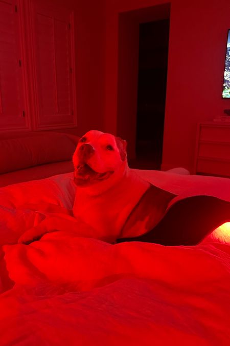 Red light therapy every night for arthritis 