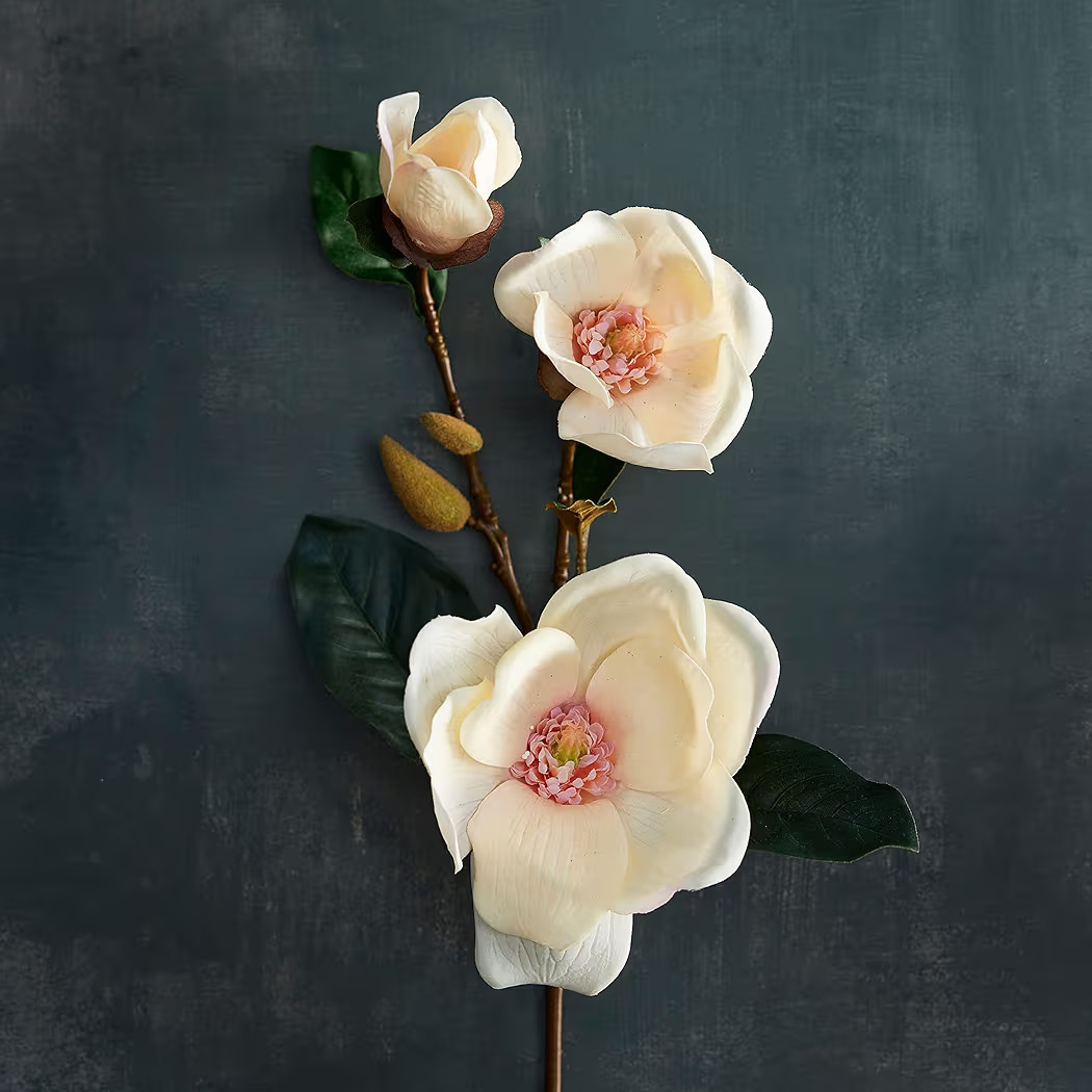 Ashland Coral Magnolia Stem | Amazon (US)