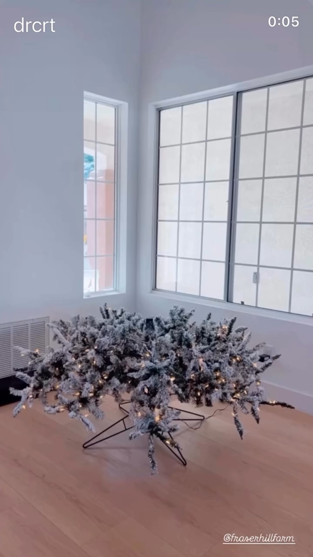 Before the ornaments come out and the tree transforms… the magic begins right here.
A naked tree, gentle lights, and a star that reminds me to slow down and soak in the glow. 


#christmas #holidays #christmastree #christmasdecor #decoration

@fraserhillfarm  

#LTKHoliday #LTKHome #LTKSeasonal