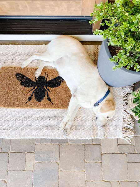 This outdoor rug is currently on sale and is shipping free this weekend!  I have 3 x 5

#LTKHome #LTKSaleAlert