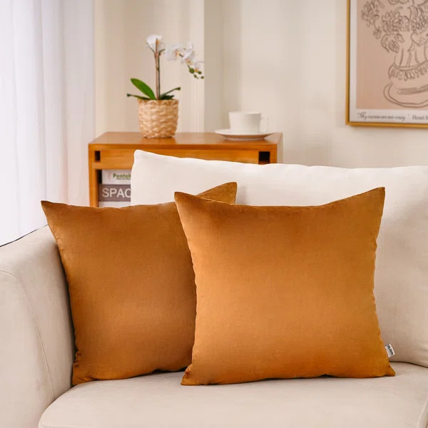 Velvet Pillow Cover (Set of 2) | Wayfair North America