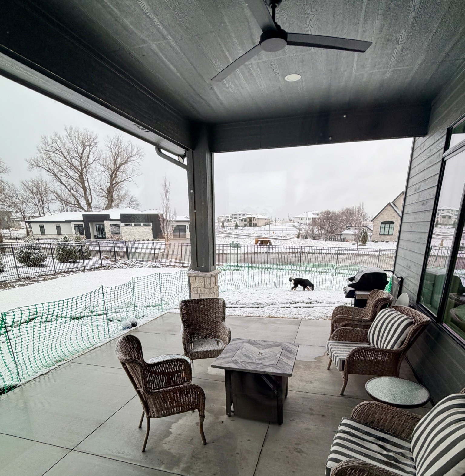 If you’re doing a yard project this spring or summer, I definitely recommend this temporary fence for your pets. 

#LTKdayinmylife #LTKSeasonal #LTKHome