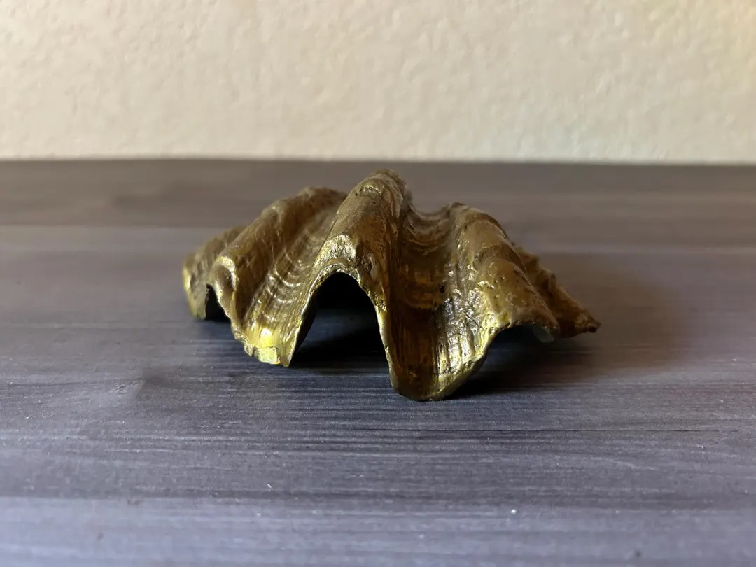 Vintage Brass Shell Trinket Dish, Patina Brass Shell Dish, Vintage Coastal Brass Shell Dish, Shel... | Etsy (US)