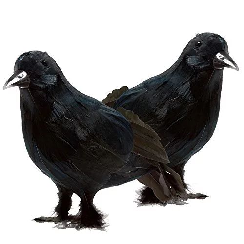 Prextex Halloween Decoration Plastic Birds Black Feathered Crows Halloween Prop Decor - 2 Pack | Walmart (US)