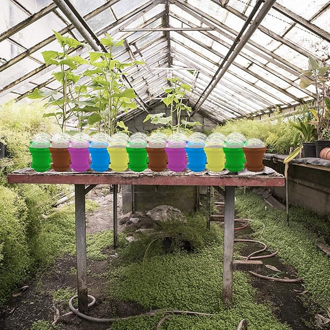 25 Packs Cupcake Plant Nursery Pots with Humidity Dome-Small Flower Pots for Kids-Planting Contai... | Amazon (US)