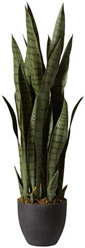 Amazon.com: Nearly Natural, Green 4855 35in. Sansevieria with Black Planter : Home & Kitchen | Amazon (US)