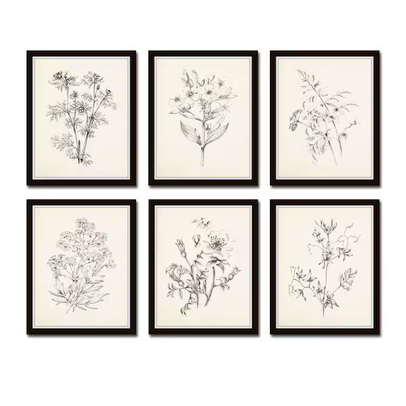 Vintage Botanical Sketch Prints Set No. 1, Botanical Prints, Giclee, Art Print, Vintage  Botanica... | Etsy (US)