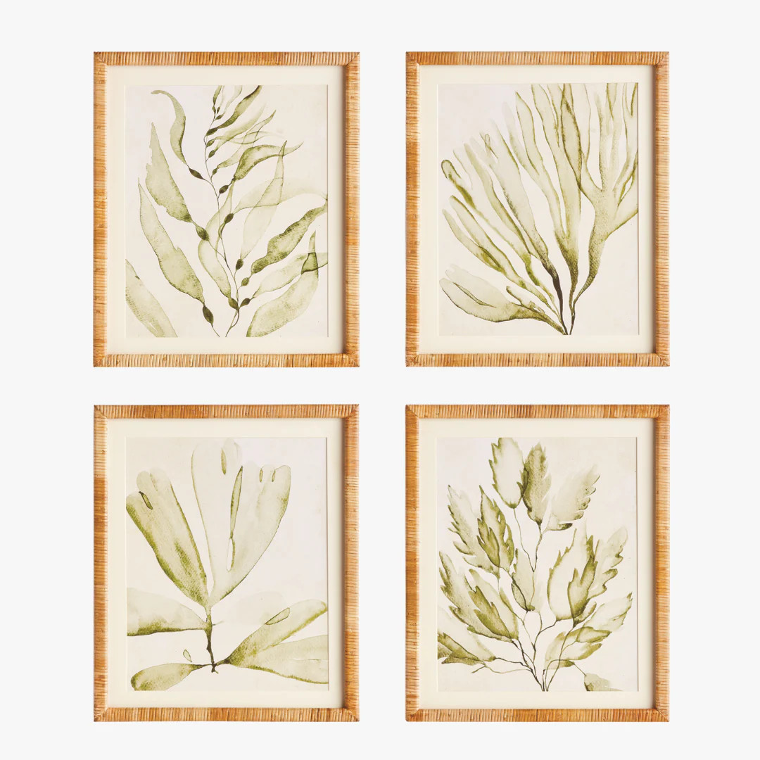 Sea Fern Framed Prints | Dear Keaton