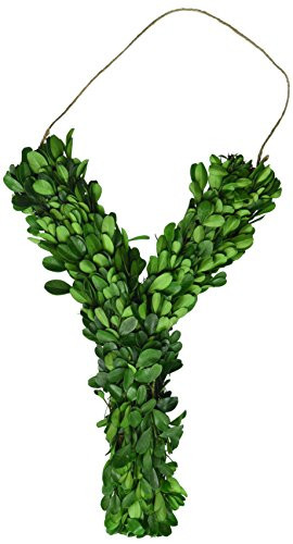 Modern Home 12" Real Preserved Boxwood Monogram Wreath Letters - Y | Amazon (US)