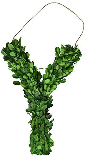 Modern Home 12" Real Preserved Boxwood Monogram Wreath Letters - Y | Amazon (US)