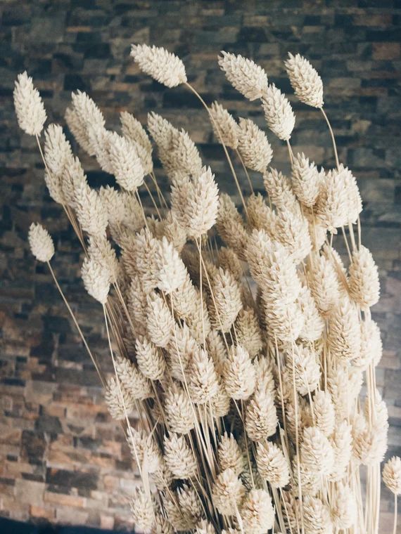 Dry Flower White Phalaris | Gorgeous Dried Flower Arrangement | Home Decor | Wedding Decor | Bouq... | Etsy (US)