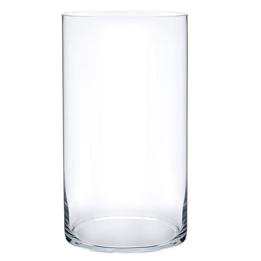 Royal Imports Flower Glass Vase Decorative Centerpiece for Home or Wedding - Cylinder Shape, 12" ... | Amazon (US)