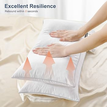 12x20 inch Pillow Insert Set of 2, Down and Feather Throw Pillow Inserts Premium Soft Fluffy with... | Amazon (US)