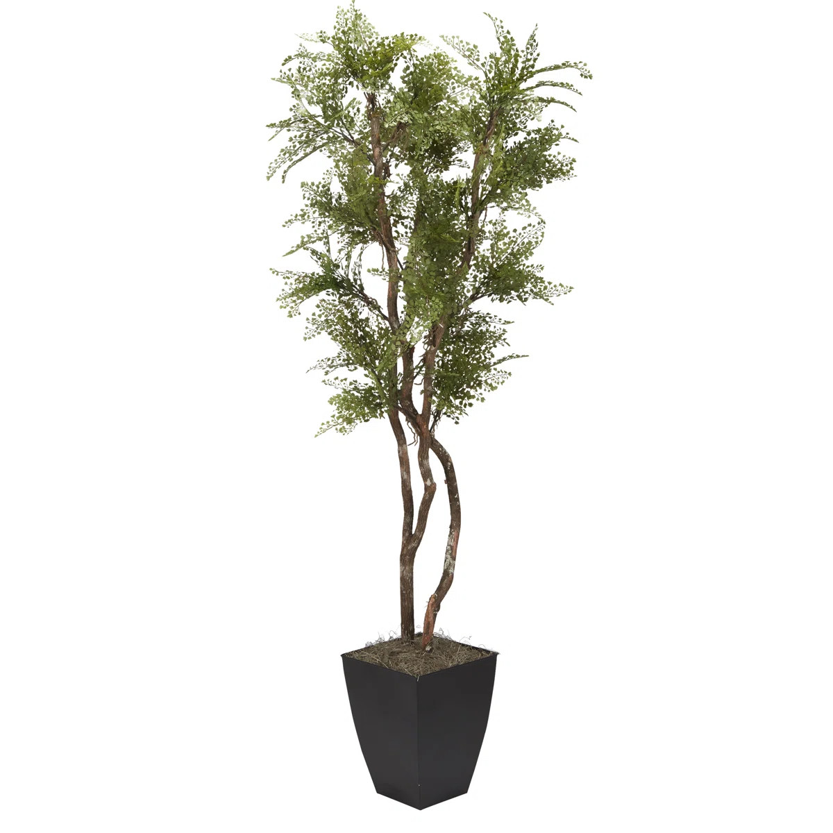 84'' Faux Maiden Hair Fern Tree in Metal Basket | Wayfair North America