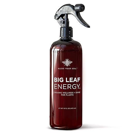 Big Leaf Energy : RTU Wellness Spray for Indoor Plants : Organic Neem Oil + Essential Oils (16OZ,... | Amazon (US)