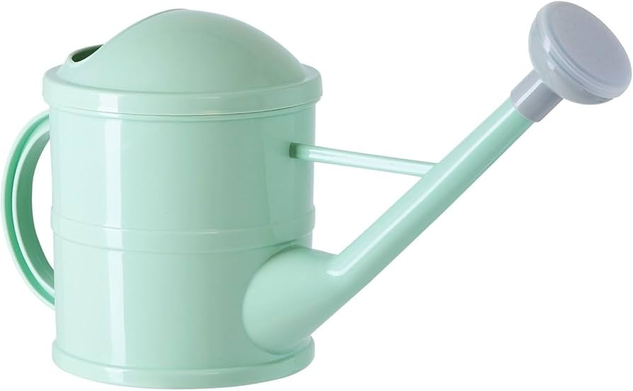 Farmlyn Creek Watering Can - Plant Waterer with Long Spout & Detachable Sprinkler Head - Compact ... | Amazon (US)