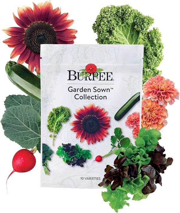 Burpee Garden Sown Flower, Herb & Vegetable 10 Packs of Non-GMO Basil, Lettuce, Cucumber, Radish,... | Amazon (US)