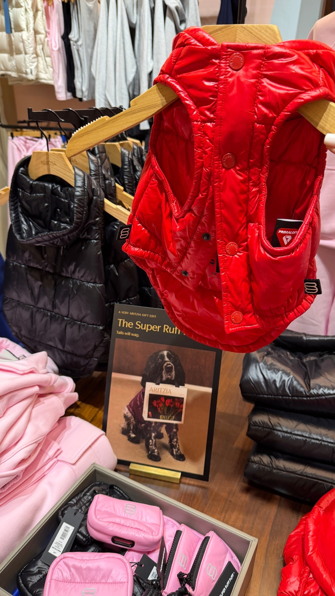 Red is sold out! But green is still in stock! Dog Puffer Coat 🐶

#Aritzia #DogLover #DogMom #GiftIdea 