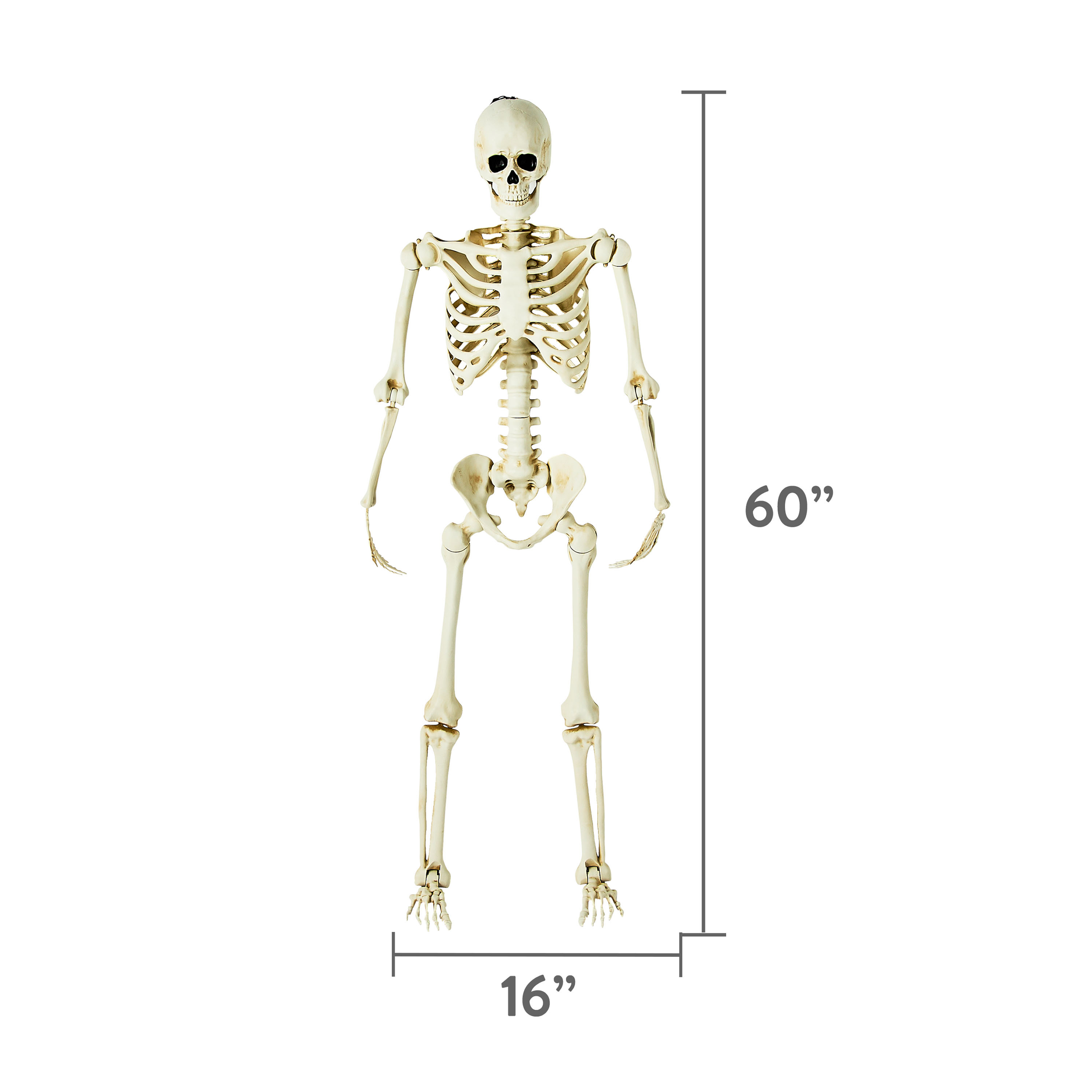 Halloween 5' Poseable Skeleton Outdoor Decoration by Way To Celebrate | Walmart (US)