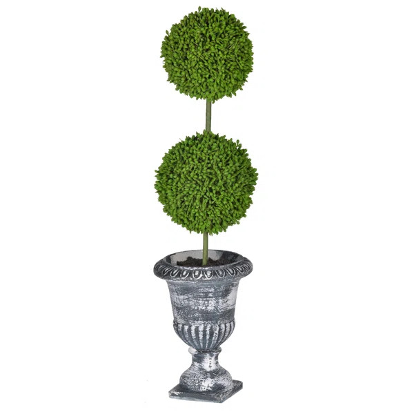Boxwood Topiary in Urn | Wayfair North America
