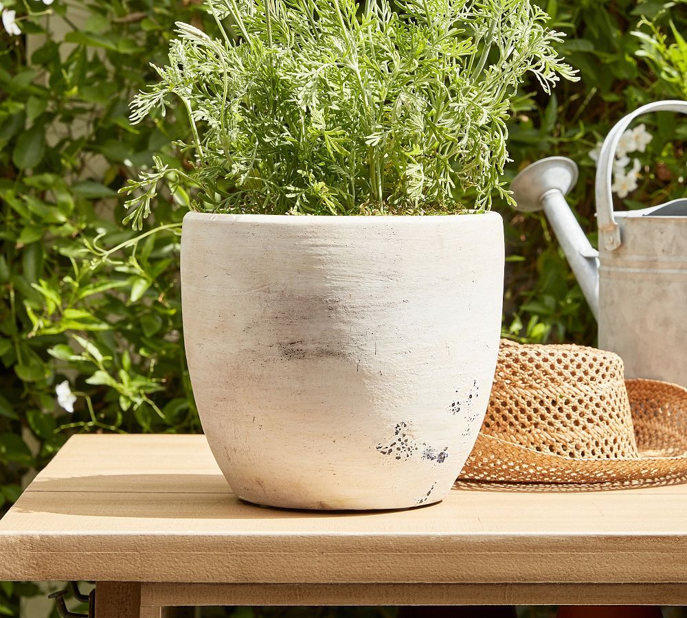 Artisan Hand Painted Terracotta Planters | Pottery Barn (US)