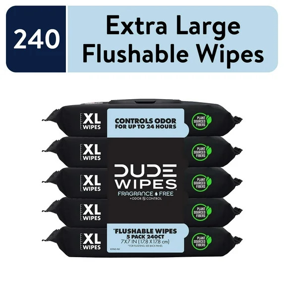 DUDE Wipes Fragrance Free Plus Odor Control, XL Wet Wipes, 48 Count, 5 Pack | Walmart (US)