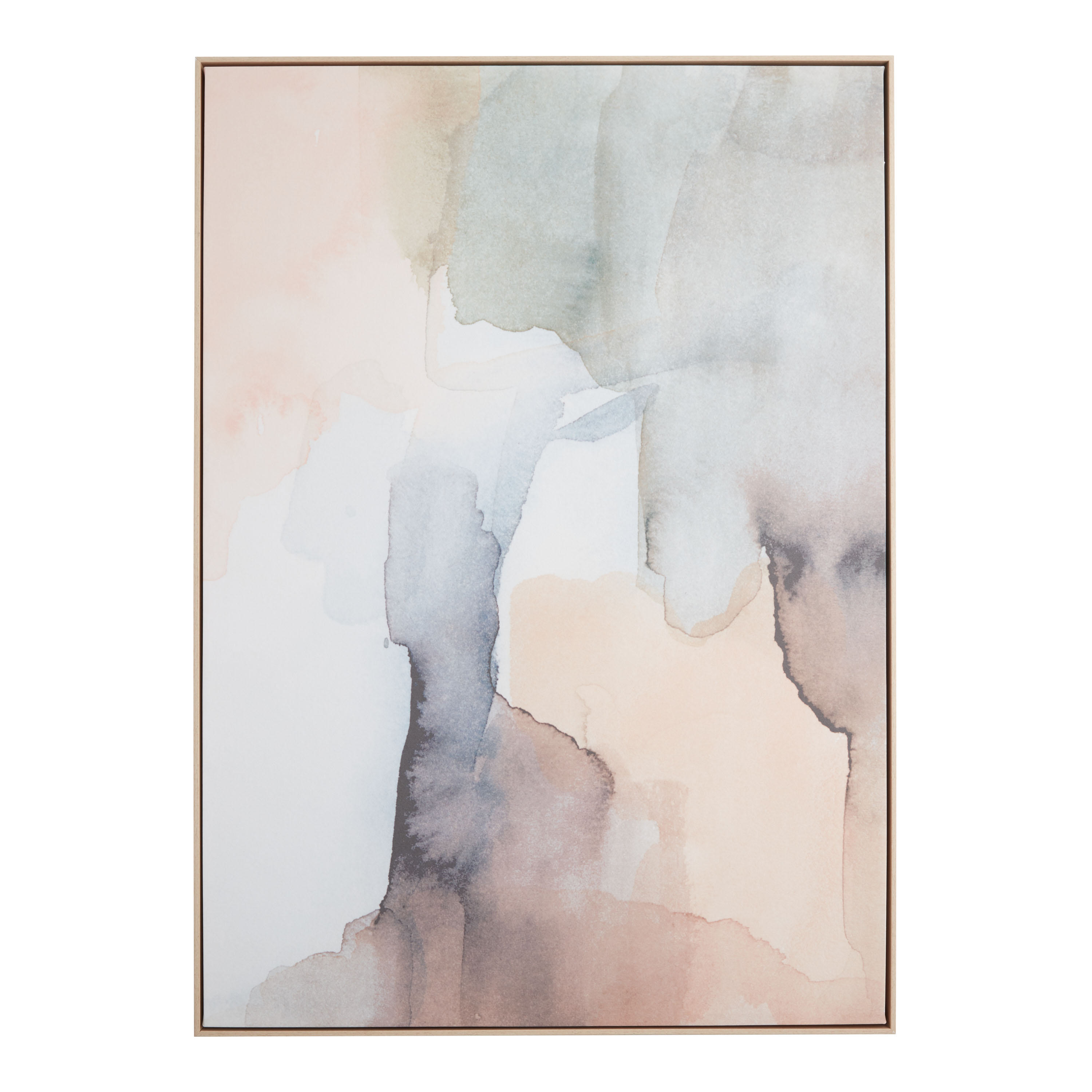 Nectar III by Victoria Borges Framed Canvas Wall Art | World Market