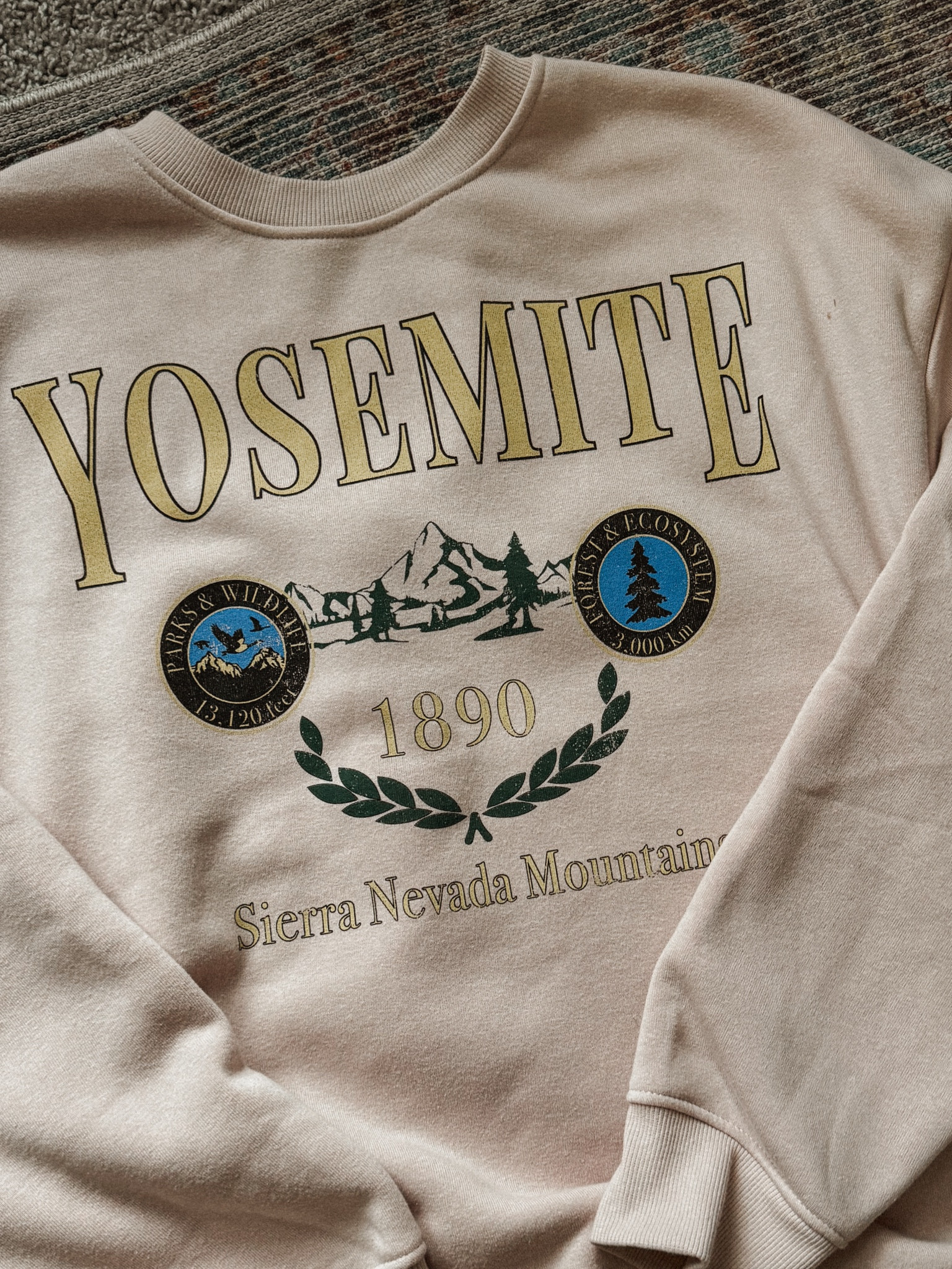 The comfiest sweatshirt under $30! ✨ #target #targetfinds 

#LTKFindsUnder50