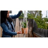 Classic Macrame Plant Hanger | Etsy (US)