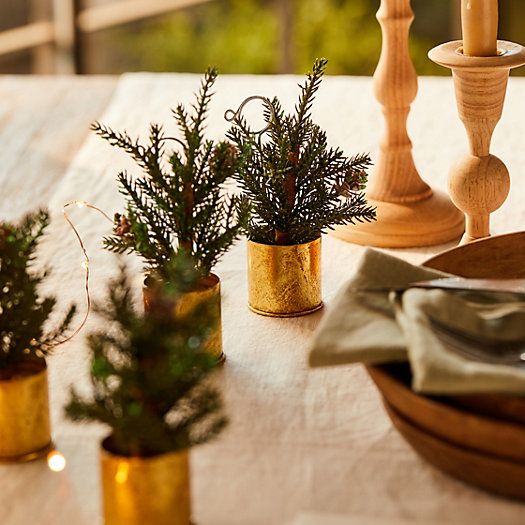 Faux Potted Pine Place Card Holders, Set of 4 | Terrain