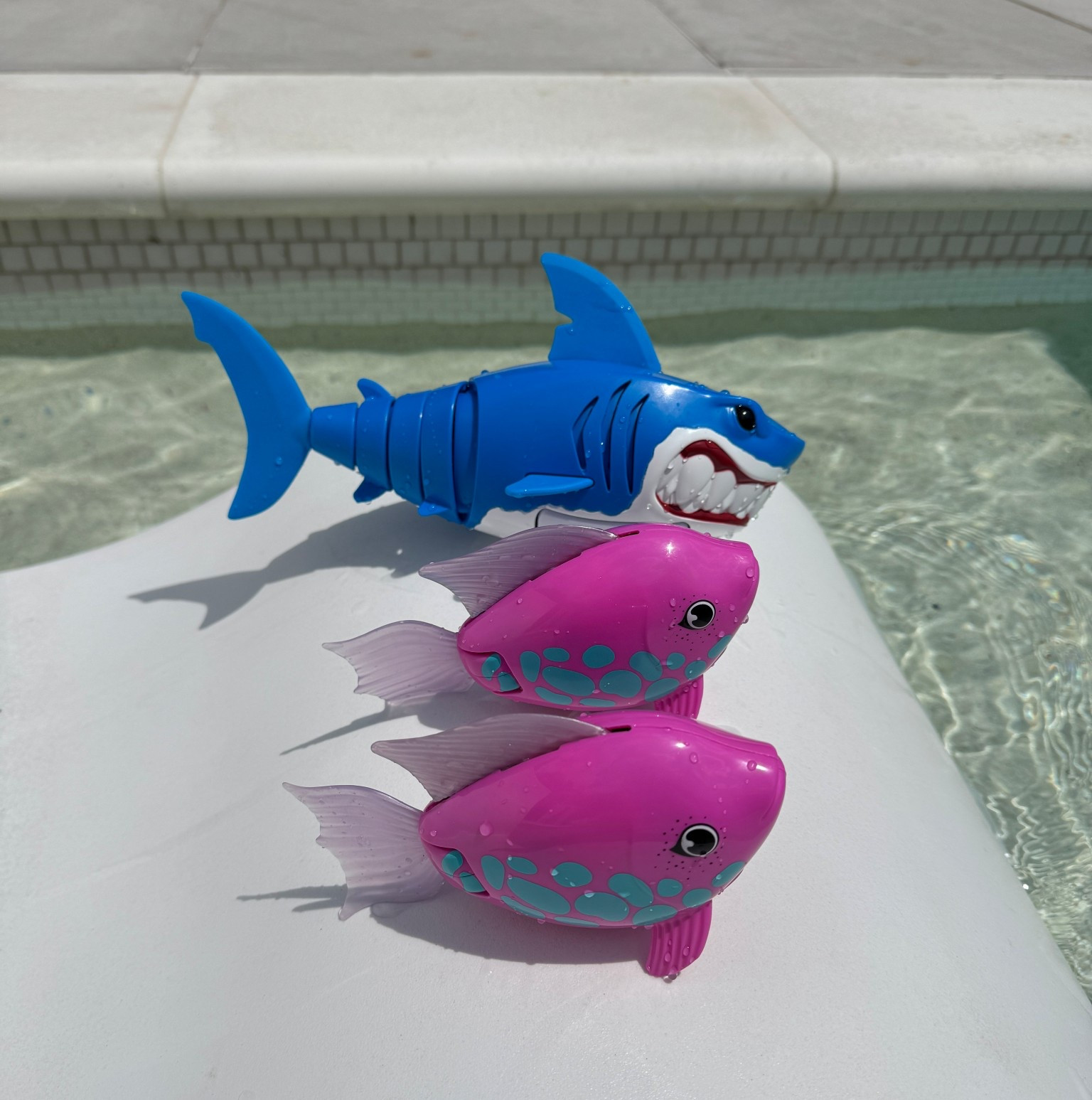 Swimming fish on sale at Target!!

#LTKKids #LTKSaleAlert #LTKSeasonal