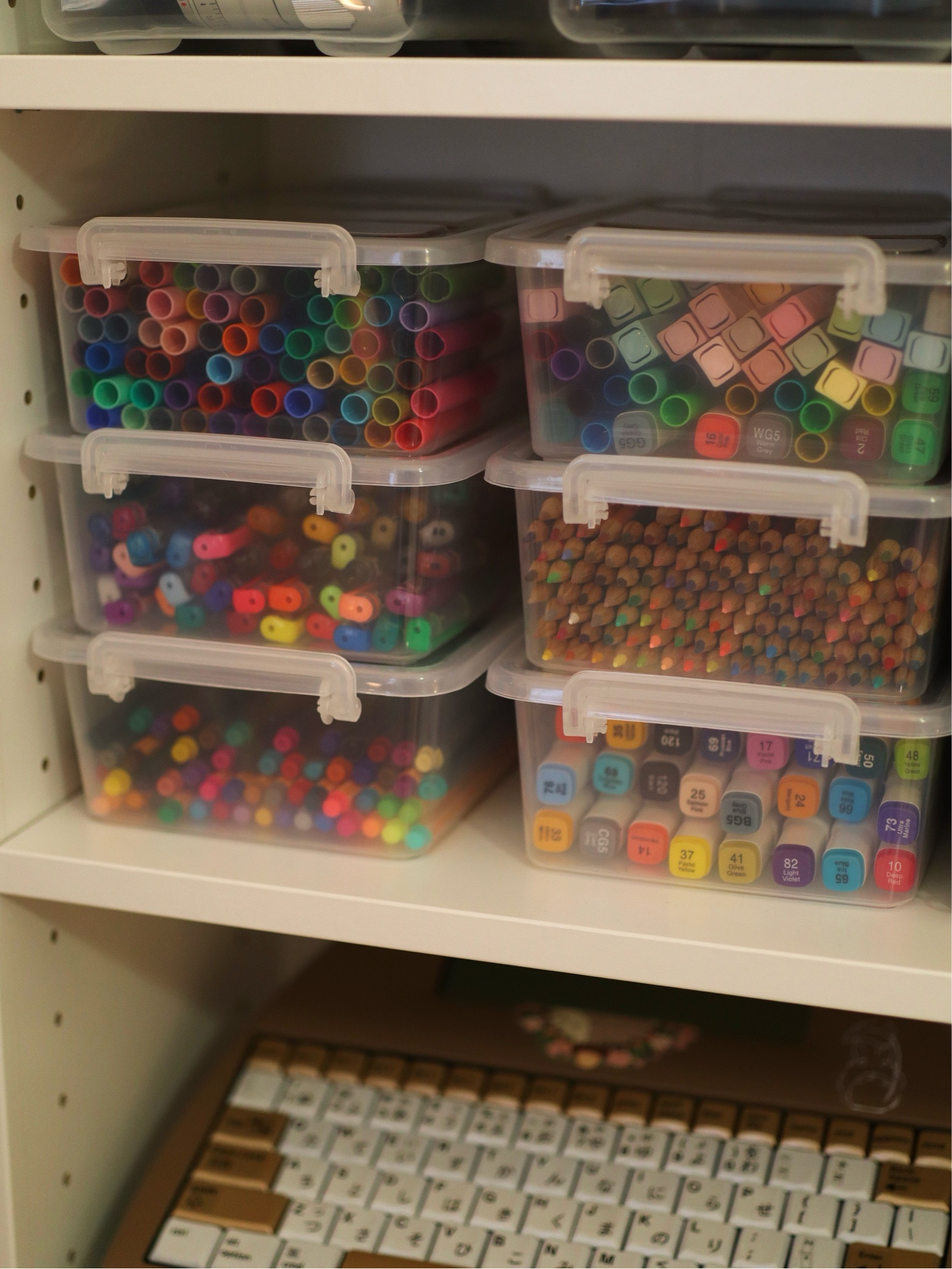 Craft storage! #hobbies #cozyhobbies #hobbystorage 

#LTKGiftGuide #LTKFindsUnder50