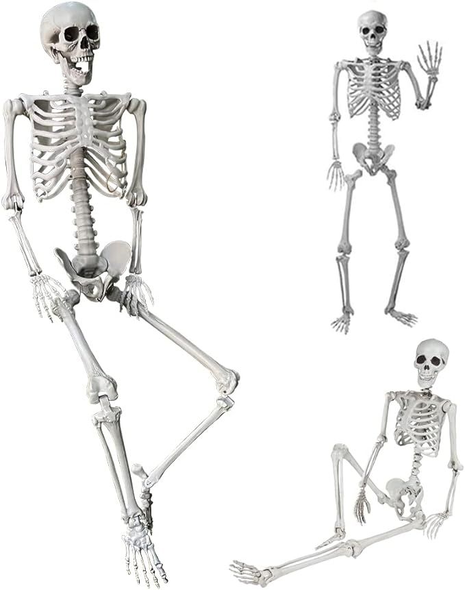 5.4Ft/165cm Halloween Skeleton Full Body Life Size Human Bones with Movable Joints for Indoor Out... | Amazon (US)