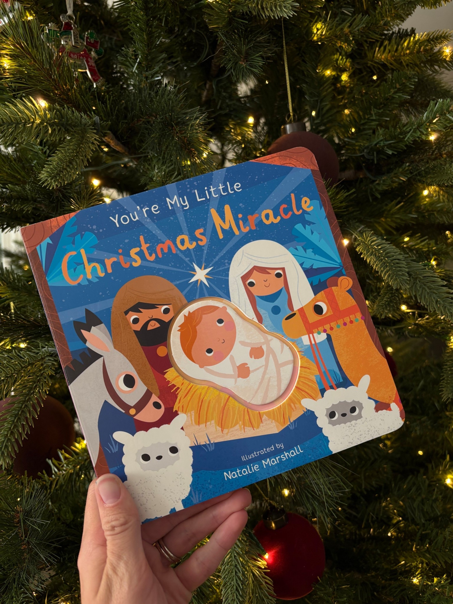 Christmas books for baby 



#LTKBaby #LTKHoliday #LTKGiftGuide