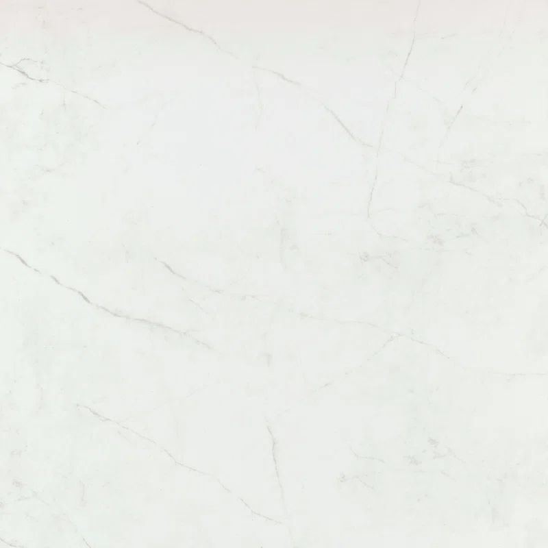 Sterlina II™ 24" x 24" Marble Look Porcelain Floor and Wall Tile | Wayfair North America