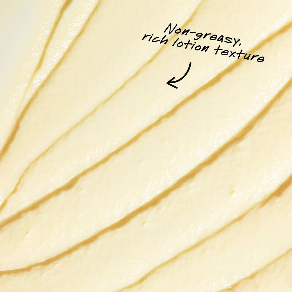 Creme de Corps – Lotion with Cocoa Butter – Kiehl’s | Kiehls (US)