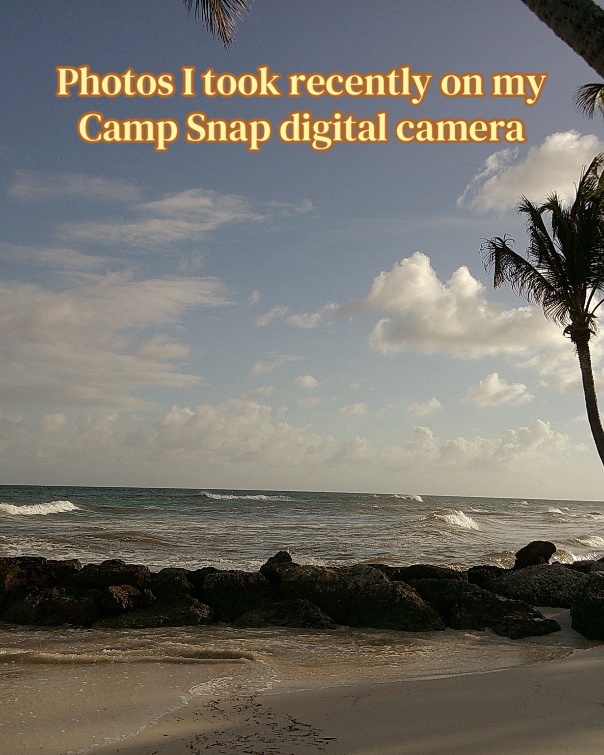Let me de-influence you from the Canon g7x real quick and put you onto a digital camera that is affordable, fun, and SO convenient! I’m obsessed with my Camp Snap 2 and so glad I picked it up right before our honeymoon 🍯🌙

#LTKTravel #LTKWedding