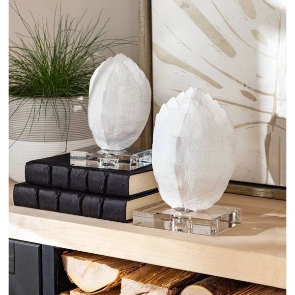 Turtle Shells On Crystal (Set of 2) | Wayfair North America