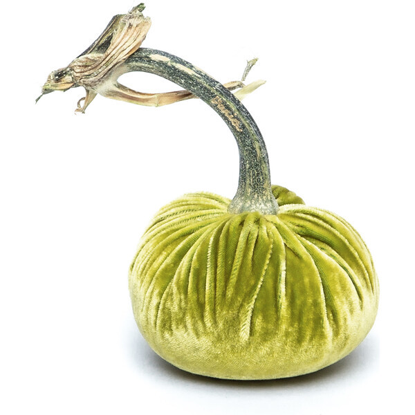 Velvet Pumpkin, Chartruese | Maisonette
