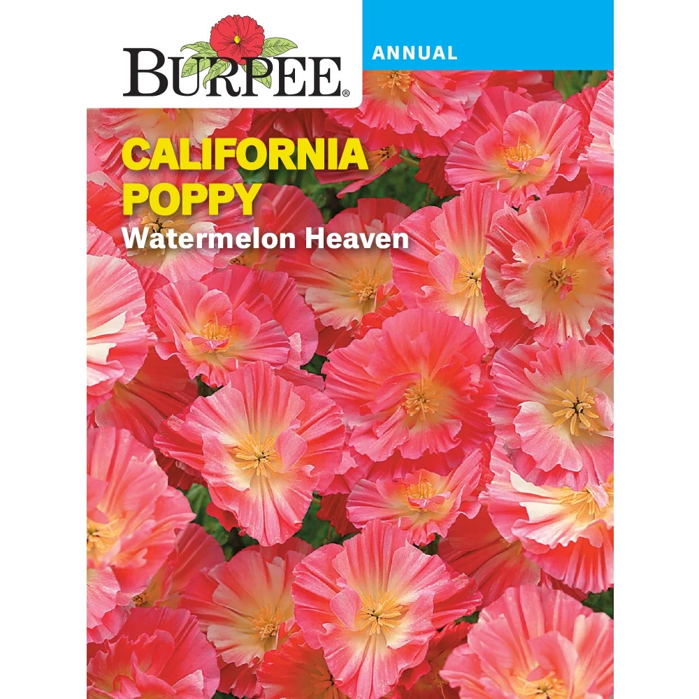 Burpee Watermelon Heaven California Poppy Flower Seed, 1-Pack | Walmart (US)