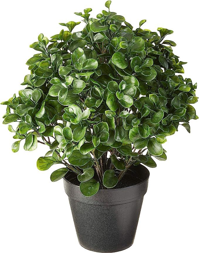 Nearly Natural Peperomia Indoor/Outdoor UV Resistant Plant, 23" | Amazon (US)