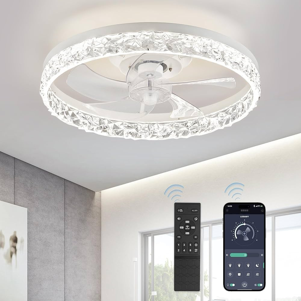 LEDIARY 20" Modern Ceiling Fans with Lights and Remote, Dimmable Low Profile Ceiling Fan, Flush M... | Amazon (US)