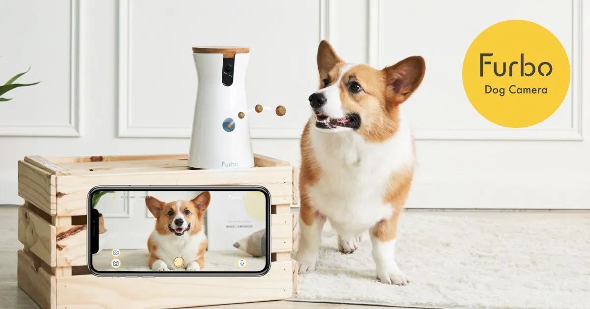 NEW! Furbo 360° Dog Camera | Furbo Dog Camera