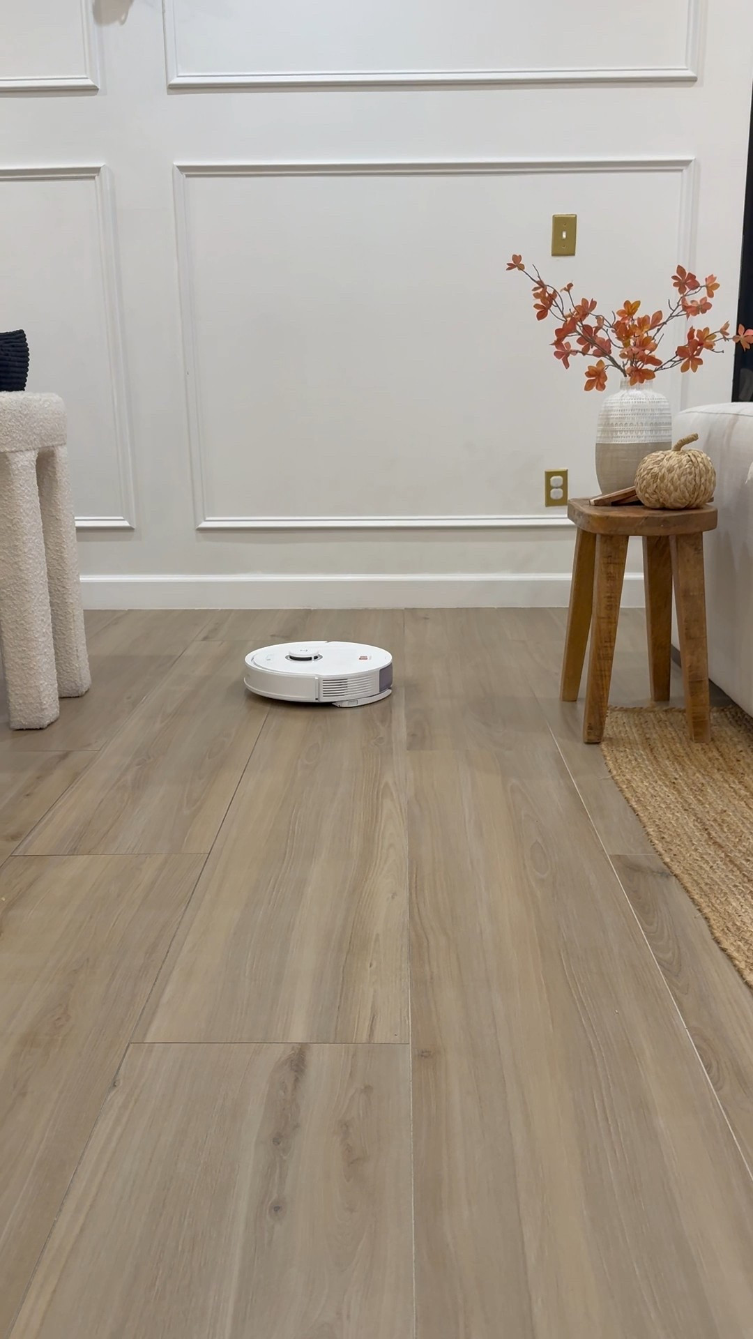 Roborock robot vacuum/mop