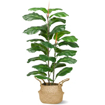 Artificial Pine Plant in Planter | Wayfair North America