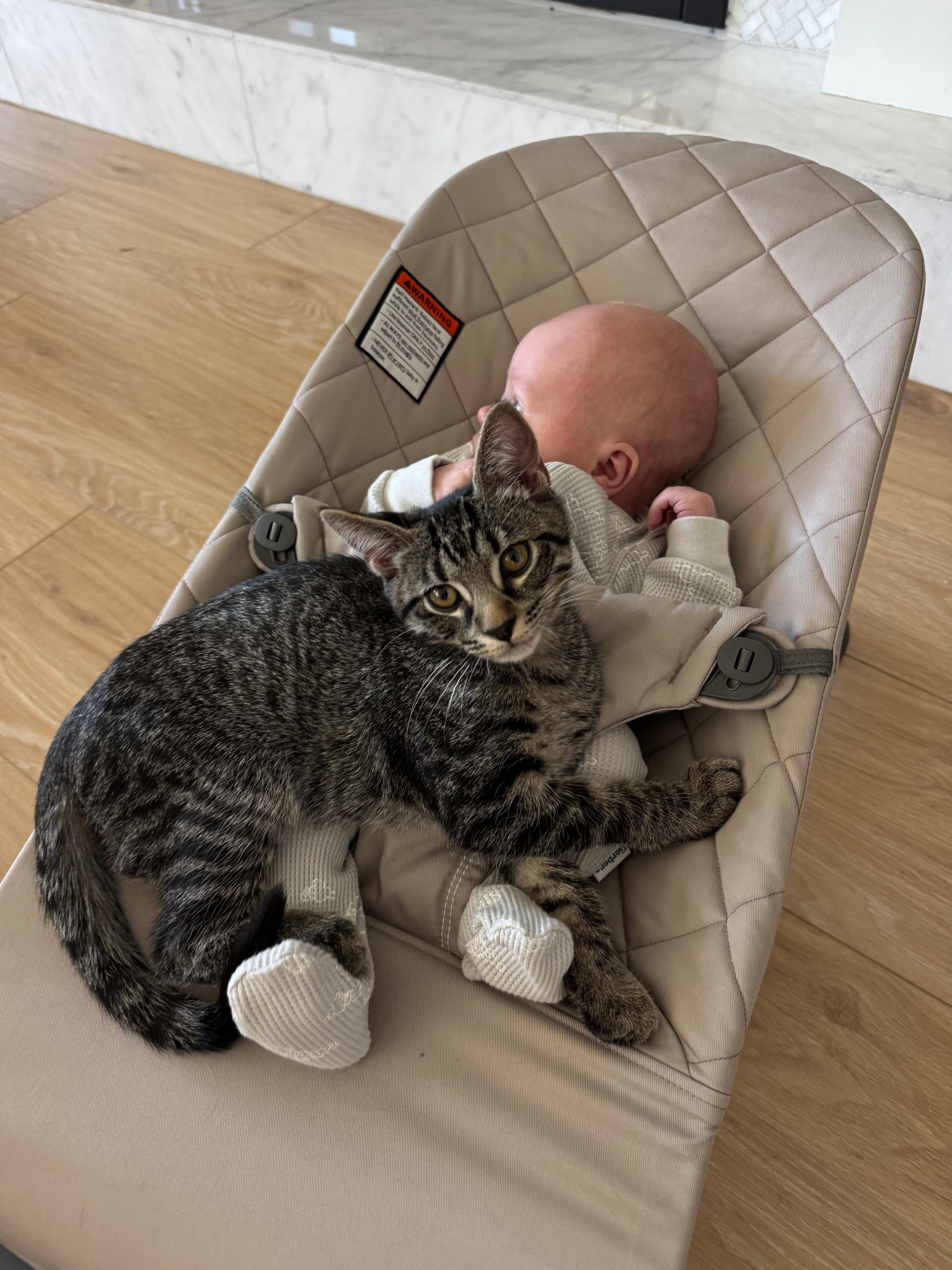 The best “baby sitter” 

#LTKPets #LTKBump #LTKBaby