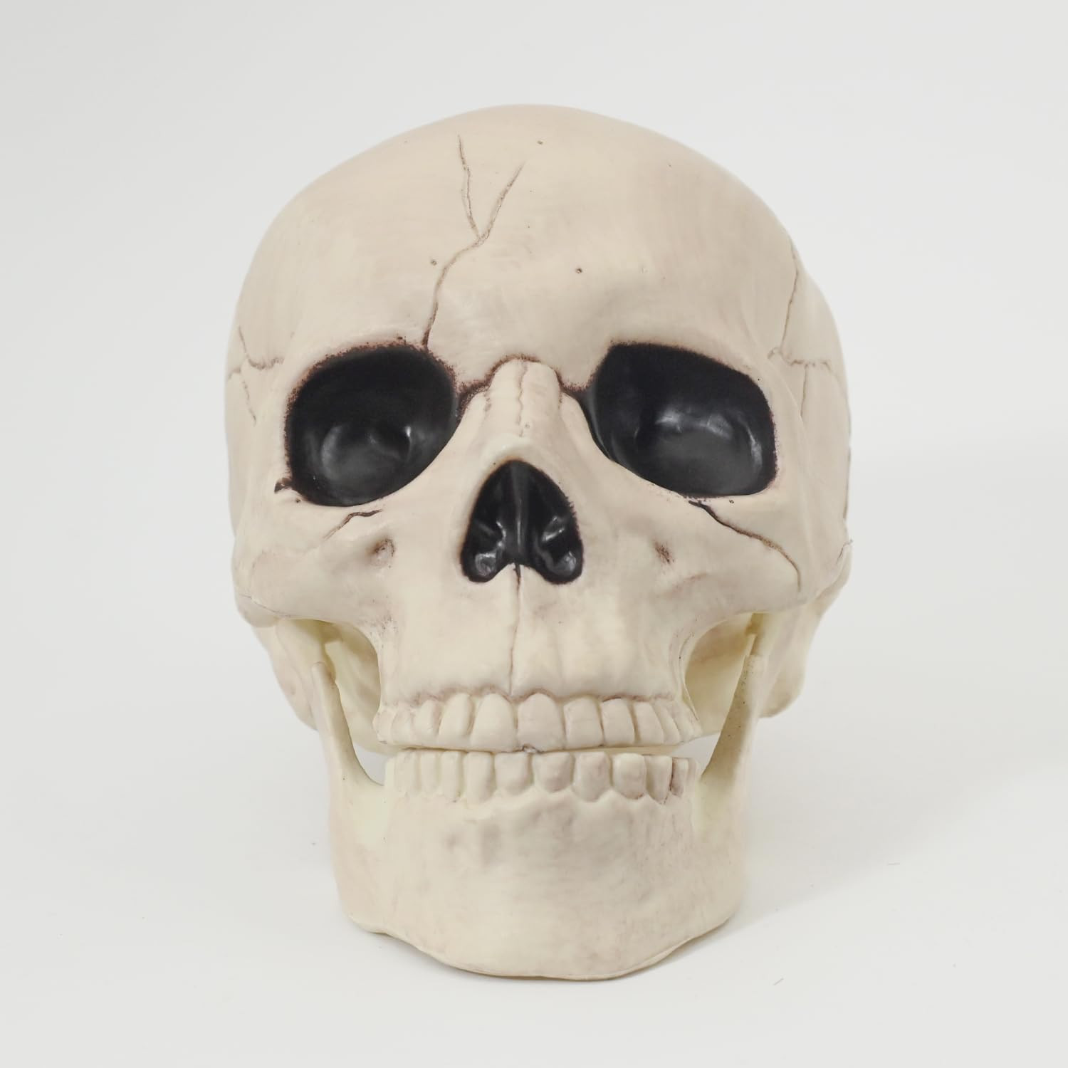 Life Size Replica Realistic Human Skull Bone Model with Moveble Jaw for Gothic Halloween Party De... | Amazon (UK)