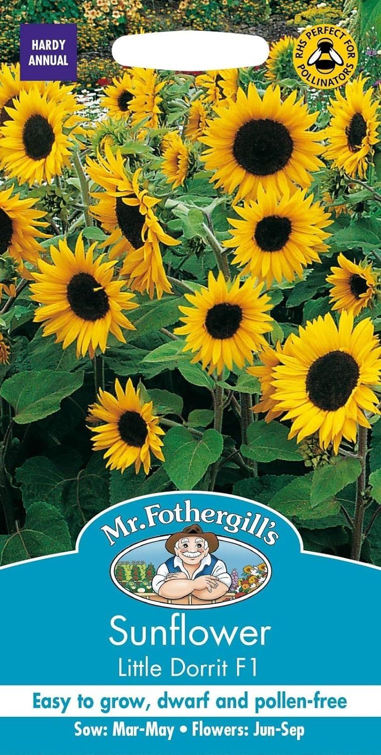 Portal Cool Mr Fothergills - Flower - Sunflower Little Dorrit F1-25 Seeds | Amazon (CA)