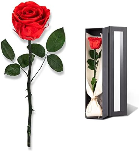 Flowers for Delivery Prime, Preserved Roses Flower Gifts for Women, Real Roses Single Rose Gifts ... | Amazon (US)