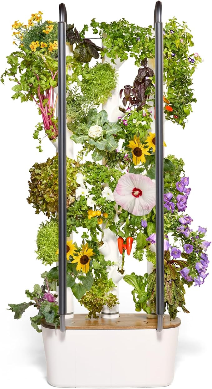 Gardyn 4.0 Hydroponics Growing System Kit & Vertical Garden Planter, 30 Non-GMO Indoor Plants Sma... | Amazon (US)